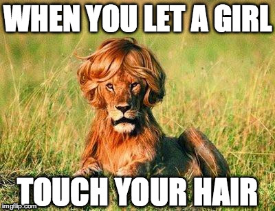 Funny Lion | WHEN YOU LET A GIRL TOUCH YOUR HAIR | image tagged in funny lion | made w/ Imgflip meme maker