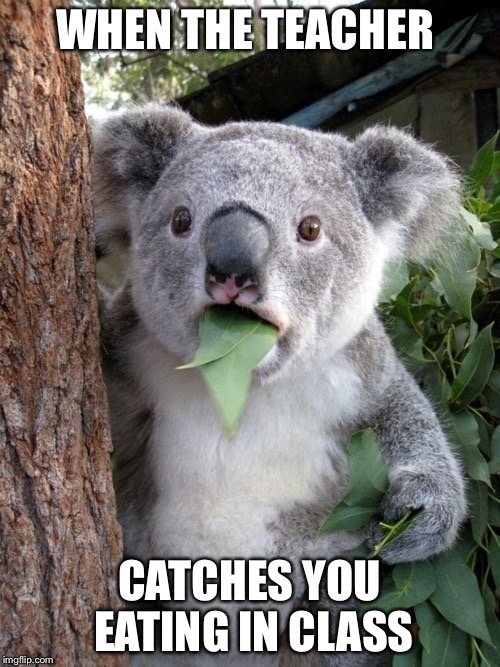 Surprised Koala | WHEN THE TEACHER CATCHES YOU EATING IN CLASS | image tagged in memes,surprised coala | made w/ Imgflip meme maker