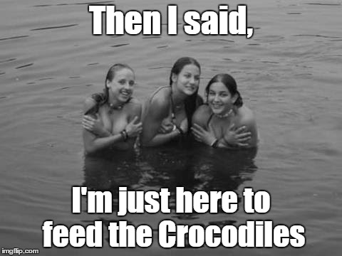 Then I said, I'm just here to feed the Crocodiles | image tagged in girls,crocodiles | made w/ Imgflip meme maker