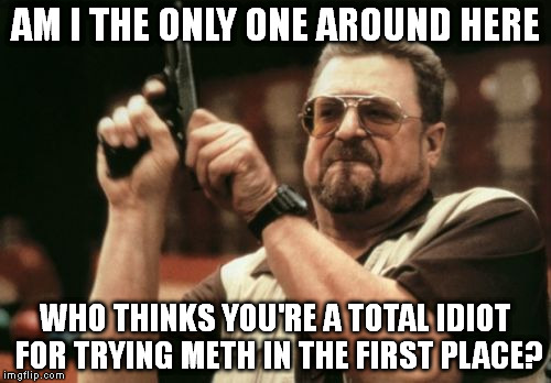 Am I The Only One Around Here Meme | AM I THE ONLY ONE AROUND HERE WHO THINKS YOU'RE A TOTAL IDIOT FOR TRYING METH IN THE FIRST PLACE? | image tagged in memes,am i the only one around here,AdviceAnimals | made w/ Imgflip meme maker