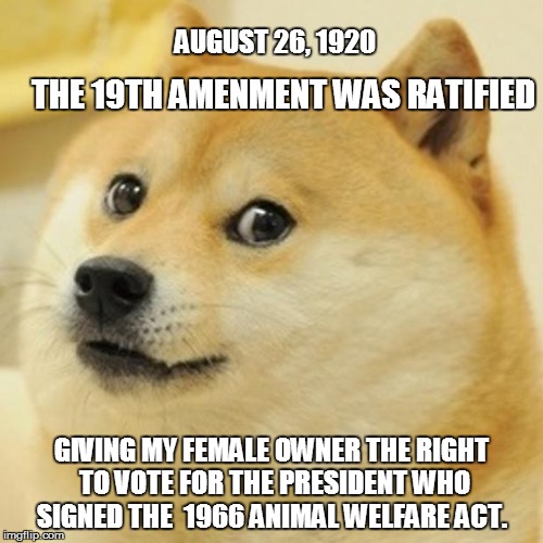 Doge | AUGUST 26, 1920 THE 19TH AMENMENT WAS RATIFIED GIVING MY FEMALE OWNER THE RIGHT TO VOTE FOR THE PRESIDENT WHO SIGNED THE  1966 ANIMAL WELFAR | image tagged in memes,doge | made w/ Imgflip meme maker