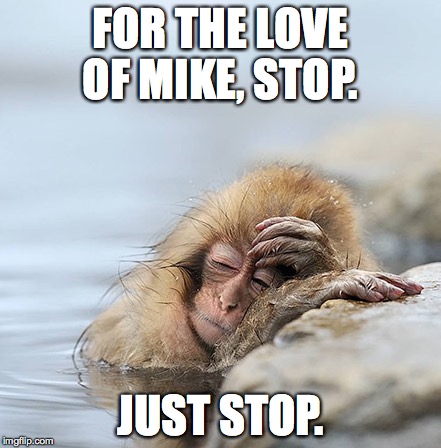 For the love of mike, stop. | FOR THE LOVE OF MIKE, STOP. JUST STOP. | image tagged in tired monkey,hungover,monkey | made w/ Imgflip meme maker