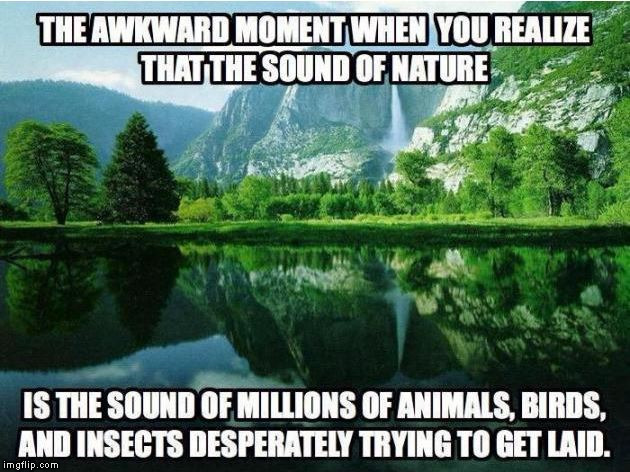 sound of nature | image tagged in nature sex sound | made w/ Imgflip meme maker