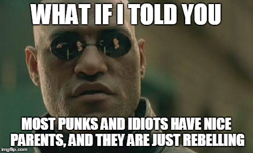 Matrix Morpheus Meme | WHAT IF I TOLD YOU MOST PUNKS AND IDIOTS HAVE NICE PARENTS, AND THEY ARE JUST REBELLING | image tagged in memes,matrix morpheus | made w/ Imgflip meme maker