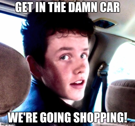 GET IN THE DAMN CAR WE'RE GOING SHOPPING! | image tagged in get in the car | made w/ Imgflip meme maker