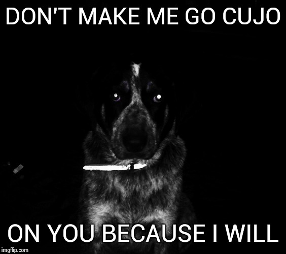 DON'T MAKE ME GO CUJO ON YOU BECAUSE I WILL | image tagged in hell hound | made w/ Imgflip meme maker