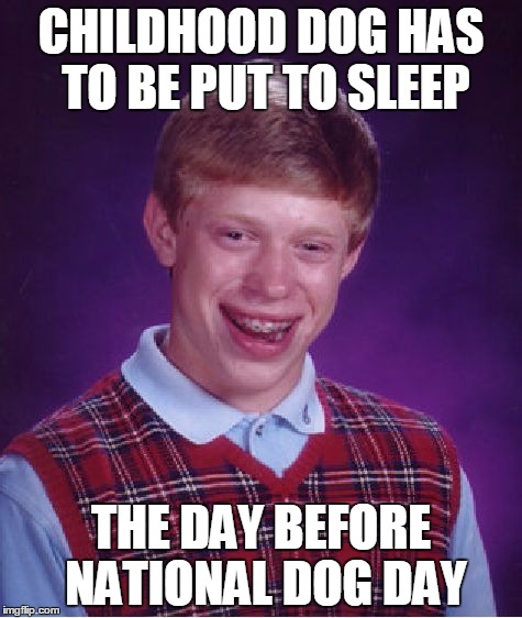 Bad Luck Brian Meme | CHILDHOOD DOG HAS TO BE PUT TO SLEEP THE DAY BEFORE NATIONAL DOG DAY | image tagged in memes,bad luck brian | made w/ Imgflip meme maker