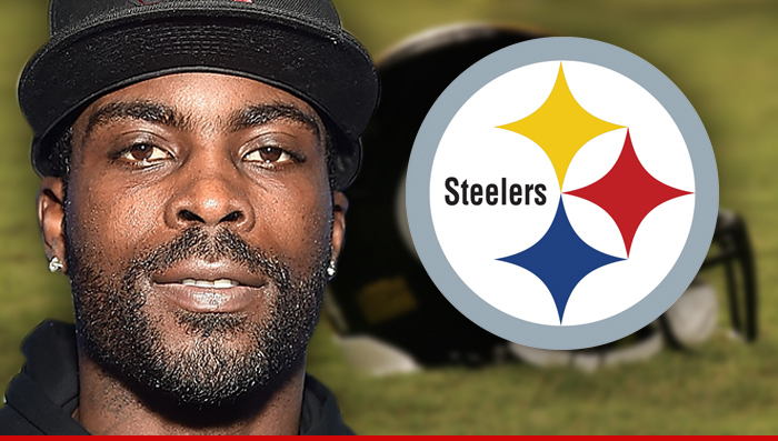 High Quality mike vick steelers Blank Meme Template