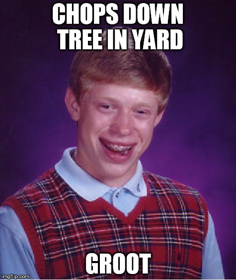 Bad Luck Brian | CHOPS DOWN TREE IN YARD GROOT | image tagged in memes,bad luck brian | made w/ Imgflip meme maker