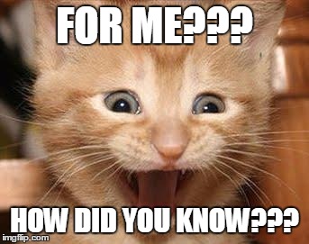 Excited Cat | FOR ME??? HOW DID YOU KNOW??? | image tagged in memes,excited cat | made w/ Imgflip meme maker