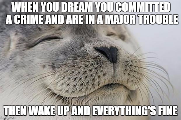 Satisfied Seal | WHEN YOU DREAM YOU COMMITTED A CRIME AND ARE IN A MAJOR TROUBLE THEN WAKE UP AND EVERYTHING'S FINE | image tagged in memes,satisfied seal | made w/ Imgflip meme maker