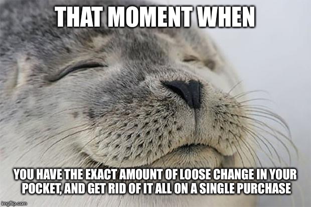 Satisfied Seal | THAT MOMENT WHEN YOU HAVE THE EXACT AMOUNT OF LOOSE CHANGE IN YOUR POCKET, AND GET RID OF IT ALL ON A SINGLE PURCHASE | image tagged in memes,satisfied seal | made w/ Imgflip meme maker