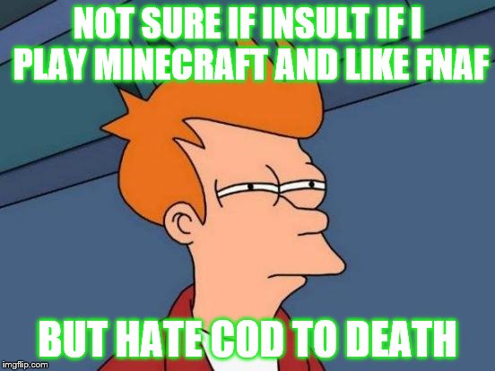 NOT SURE IF INSULT IF I PLAY MINECRAFT AND LIKE FNAF BUT HATE COD TO DEATH | image tagged in memes,futurama fry | made w/ Imgflip meme maker
