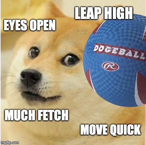 dogeball | EYES OPEN MOVE QUICK MUCH FETCH LEAP HIGH | image tagged in doge,advice doge | made w/ Imgflip meme maker