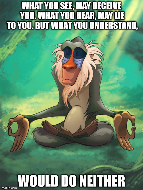 Rafiki wisdom | WHAT YOU SEE, MAY DECEIVE YOU. WHAT YOU HEAR, MAY LIE TO YOU. BUT WHAT YOU UNDERSTAND, WOULD DO NEITHER | image tagged in rafiki wisdom | made w/ Imgflip meme maker