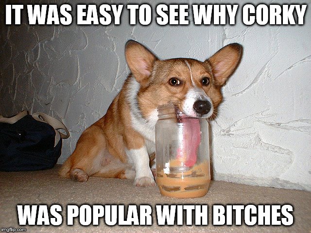 IT WAS EASY TO SEE WHY CORKY WAS POPULAR WITH B**CHES | image tagged in corgi | made w/ Imgflip meme maker