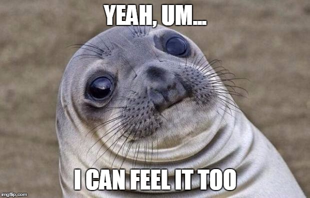 Awkward Moment Sealion Meme | YEAH, UM... I CAN FEEL IT TOO | image tagged in memes,awkward moment sealion | made w/ Imgflip meme maker