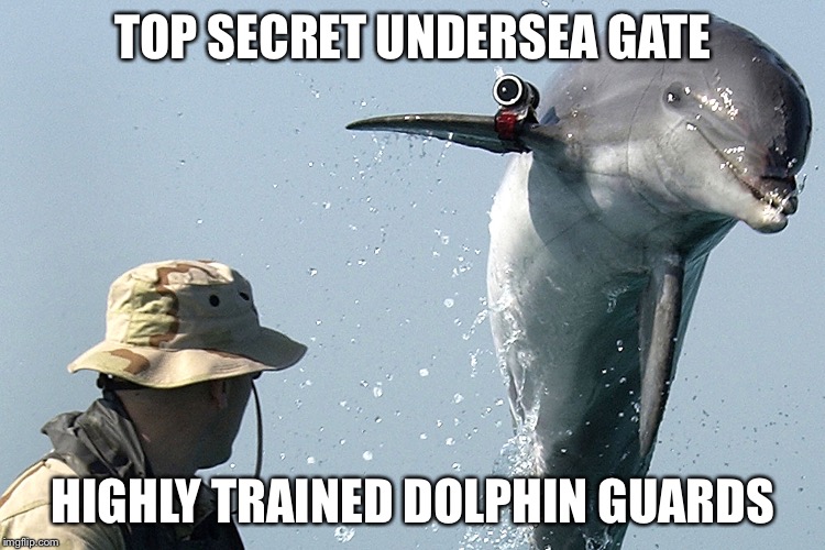TOP SECRET UNDERSEA GATE HIGHLY TRAINED DOLPHIN GUARDS | image tagged in combat dolphin | made w/ Imgflip meme maker