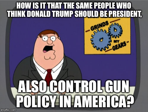 Peter Griffin News | HOW IS IT THAT THE SAME PEOPLE WHO THINK DONALD TRUMP SHOULD BE PRESIDENT, ALSO CONTROL GUN POLICY IN AMERICA? | image tagged in memes,peter griffin news | made w/ Imgflip meme maker