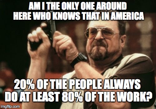 Am I The Only One Around Here Meme | AM I THE ONLY ONE AROUND HERE WHO KNOWS THAT IN AMERICA 20% OF THE PEOPLE ALWAYS DO AT LEAST 80% OF THE WORK? | image tagged in memes,am i the only one around here | made w/ Imgflip meme maker