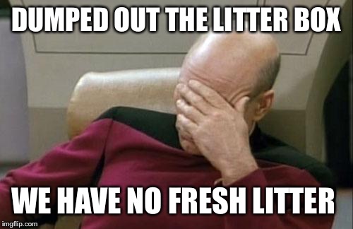 Captain Picard Facepalm | DUMPED OUT THE LITTER BOX WE HAVE NO FRESH LITTER | image tagged in memes,captain picard facepalm | made w/ Imgflip meme maker