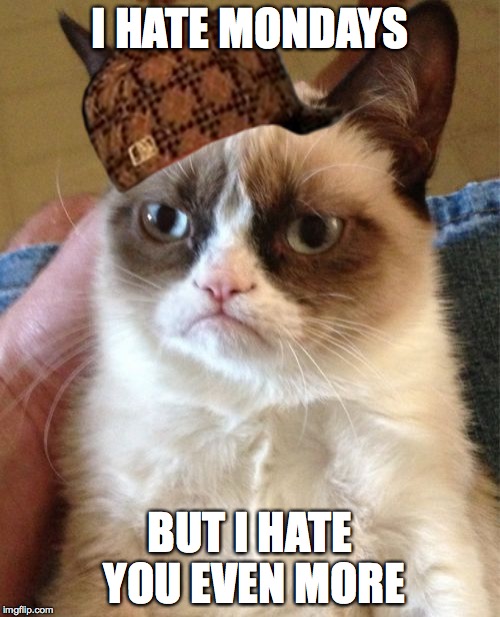 Grumpy Cat Meme | I HATE MONDAYS BUT I HATE YOU EVEN MORE | image tagged in memes,grumpy cat,scumbag | made w/ Imgflip meme maker