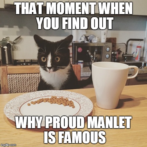 THAT MOMENT WHEN YOU FIND OUT WHY PROUD MANLET IS FAMOUS | made w/ Imgflip meme maker
