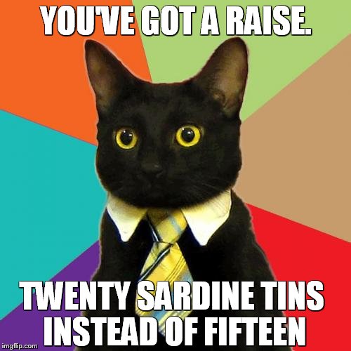 Business Cat | YOU'VE GOT A RAISE. TWENTY SARDINE TINS INSTEAD OF FIFTEEN | image tagged in memes,business cat | made w/ Imgflip meme maker