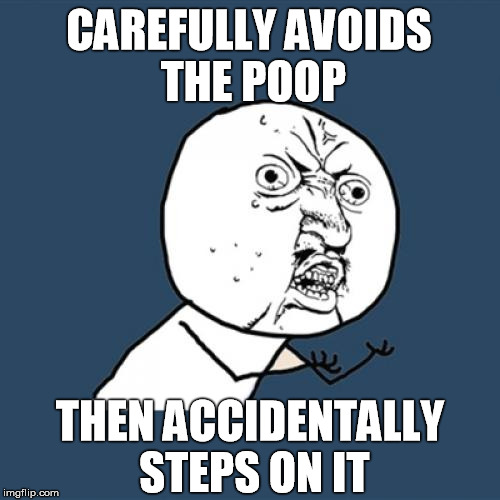 Y U No Meme | CAREFULLY AVOIDS THE POOP THEN ACCIDENTALLY STEPS ON IT | image tagged in memes,y u no | made w/ Imgflip meme maker