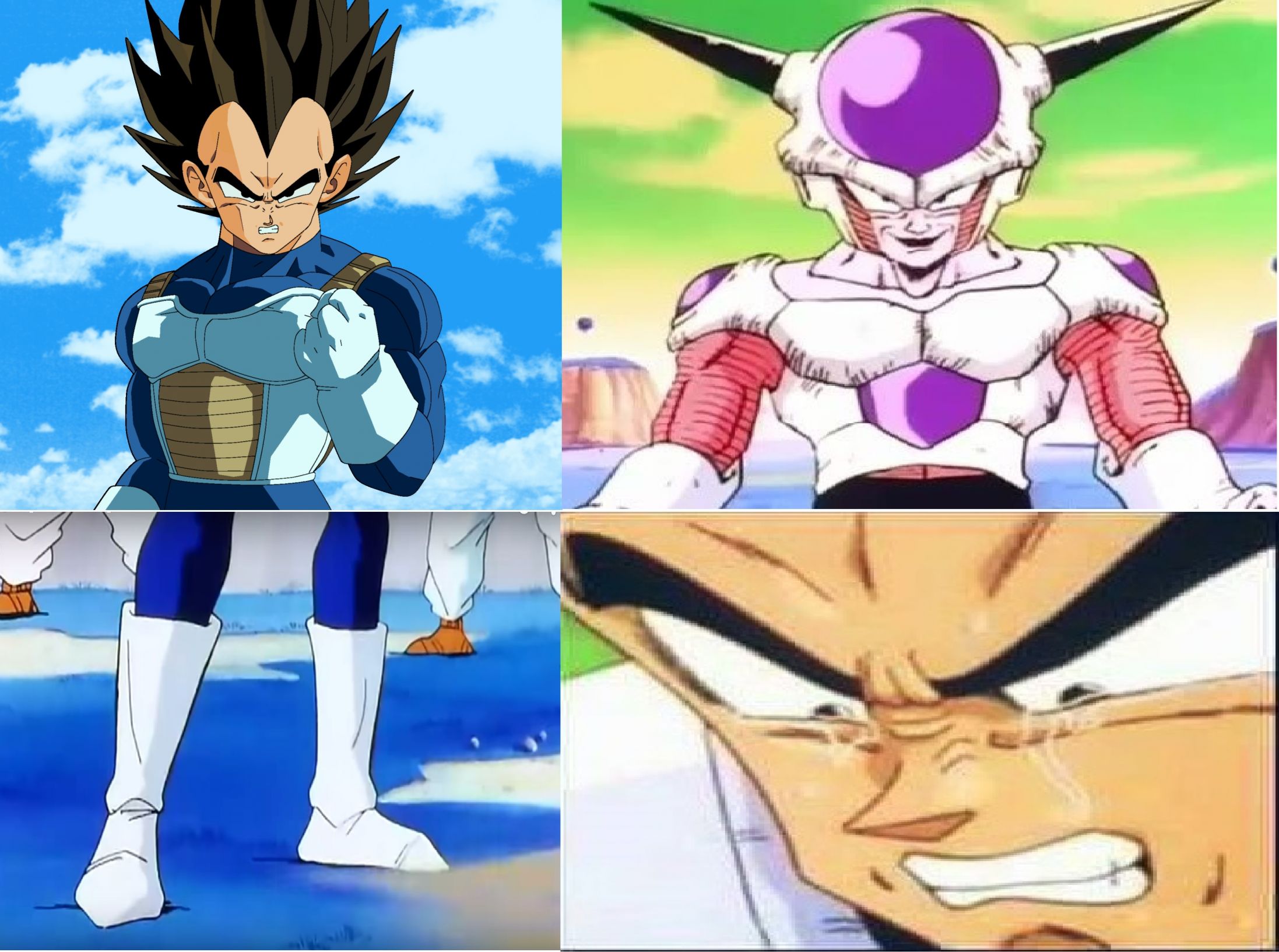 vegeta what are those!? Blank Meme Template