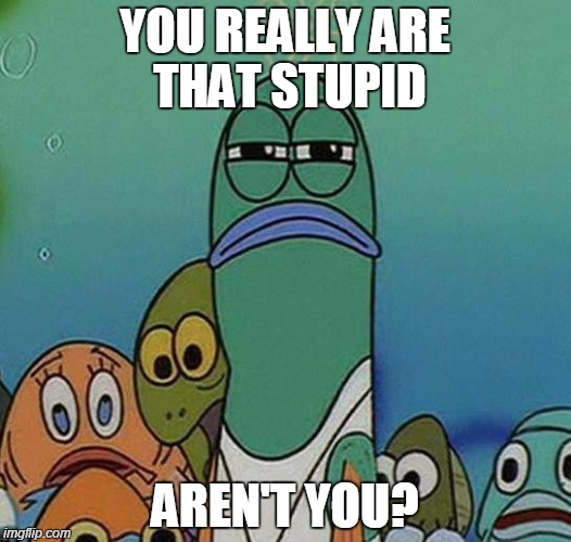 YOU REALLY ARE THAT STUPID AREN'T YOU? | image tagged in you really are that stupid,spongebob | made w/ Imgflip meme maker