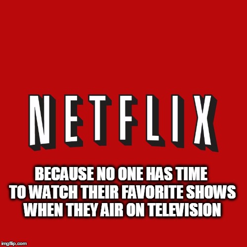 No Time, No Life | BECAUSE NO ONE HAS TIME TO WATCH THEIR FAVORITE SHOWS WHEN THEY AIR ON TELEVISION | image tagged in netflix | made w/ Imgflip meme maker