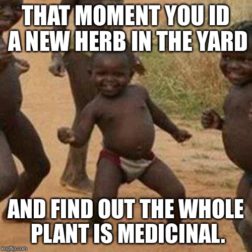 Third World Success Kid | THAT MOMENT YOU ID A NEW HERB IN THE YARD AND FIND OUT THE WHOLE PLANT IS MEDICINAL. | image tagged in memes,third world success kid | made w/ Imgflip meme maker