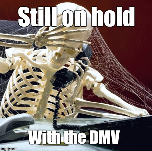 Still on hold With the DMV | image tagged in skelly on telly | made w/ Imgflip meme maker