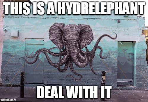 THIS IS A HYDRELEPHANT DEAL WITH IT | image tagged in hydrelephant | made w/ Imgflip meme maker