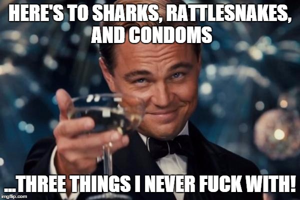 Leonardo Dicaprio Cheers Meme | HERE'S TO SHARKS, RATTLESNAKES, AND CONDOMS ...THREE THINGS I NEVER F**K WITH! | image tagged in memes,leonardo dicaprio cheers | made w/ Imgflip meme maker