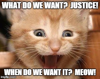 Excited Cat | WHAT DO WE WANT?  JUSTICE! WHEN DO WE WANT IT?  MEOW! | image tagged in memes,excited cat | made w/ Imgflip meme maker