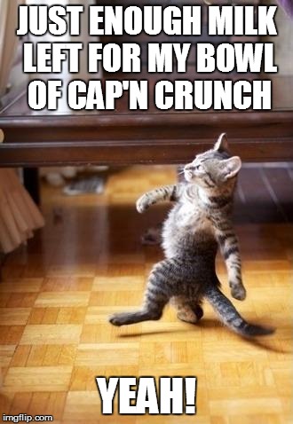 Cool Cat Stroll Meme | JUST ENOUGH MILK LEFT FOR MY BOWL OF CAP'N CRUNCH YEAH! | image tagged in memes,cool cat stroll | made w/ Imgflip meme maker