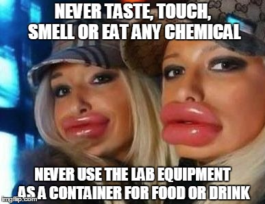 Duck Face Chicks Meme | NEVER TASTE, TOUCH, SMELL OR EAT ANY CHEMICAL NEVER USE THE LAB EQUIPMENT AS A CONTAINER FOR FOOD OR DRINK | image tagged in memes,duck face chicks | made w/ Imgflip meme maker