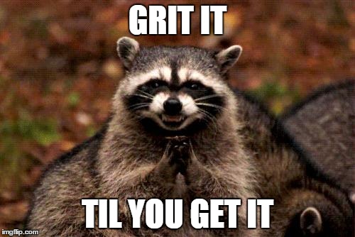 Evil Plotting Raccoon Meme | GRIT IT TIL YOU GET IT | image tagged in memes,evil plotting raccoon | made w/ Imgflip meme maker