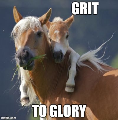 Foal Of Mine Meme | GRIT TO GLORY | image tagged in memes,foal of mine | made w/ Imgflip meme maker