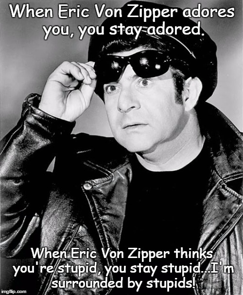 Stupid | When Eric Von Zipper adores you, you stay adored. When Eric Von Zipper thinks you're stupid, you stay stupid...I'm surrounded by stupids! | image tagged in eric von zipper | made w/ Imgflip meme maker