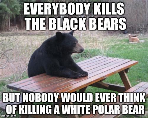 Bad Luck Bear Meme | EVERYBODY KILLS THE BLACK BEARS BUT NOBODY WOULD EVER THINK OF KILLING A WHITE POLAR BEAR | image tagged in memes,bad luck bear | made w/ Imgflip meme maker