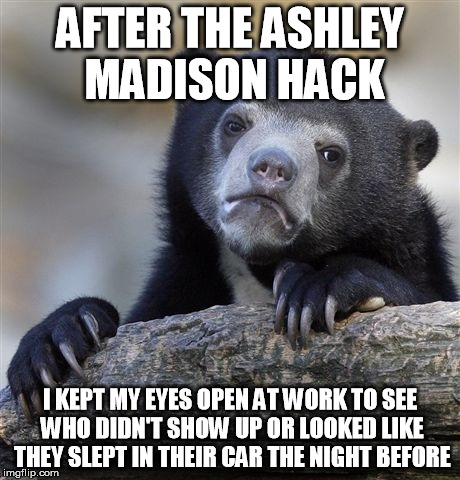 Confession Bear Meme | AFTER THE ASHLEY MADISON HACK I KEPT MY EYES OPEN AT WORK TO SEE WHO DIDN'T SHOW UP OR LOOKED LIKE THEY SLEPT IN THEIR CAR THE NIGHT BEFORE | image tagged in memes,confession bear,AdviceAnimals | made w/ Imgflip meme maker