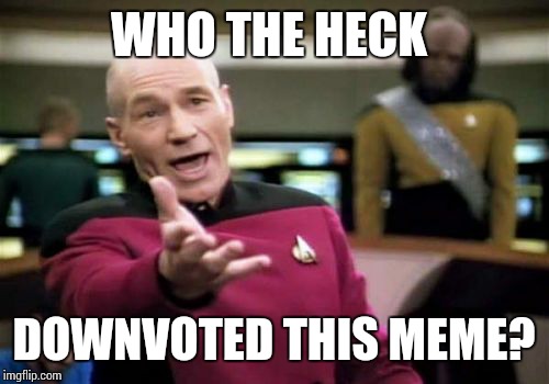 Picard Wtf Meme | WHO THE HECK DOWNVOTED THIS MEME? | image tagged in memes,picard wtf | made w/ Imgflip meme maker