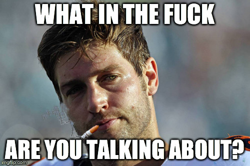 WHAT IN THE F**K ARE YOU TALKING ABOUT? | image tagged in angry confusion,irritated,fed up,cutler,cutty | made w/ Imgflip meme maker