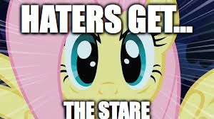 Fluttershy stare | HATERS GET... THE STARE | image tagged in fluttershy stare | made w/ Imgflip meme maker