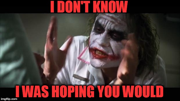 And everybody loses their minds Meme | I DON'T KNOW I WAS HOPING YOU WOULD | image tagged in memes,and everybody loses their minds | made w/ Imgflip meme maker