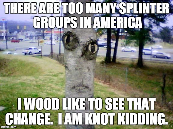 Disapproving Tree | THERE ARE TOO MANY SPLINTER GROUPS IN AMERICA I WOOD LIKE TO SEE THAT CHANGE.  I AM KNOT KIDDING. | image tagged in disapproving tree | made w/ Imgflip meme maker