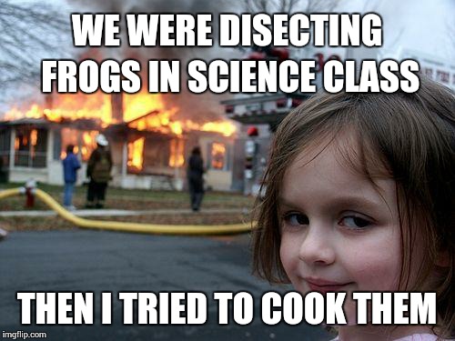 Disaster Girl Meme | WE WERE DISECTING FROGS IN SCIENCE CLASS THEN I TRIED TO COOK THEM | image tagged in memes,disaster girl | made w/ Imgflip meme maker